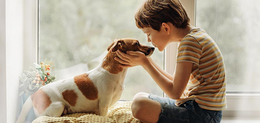 young boy kissing a Jack Russell Terrier on the nose
